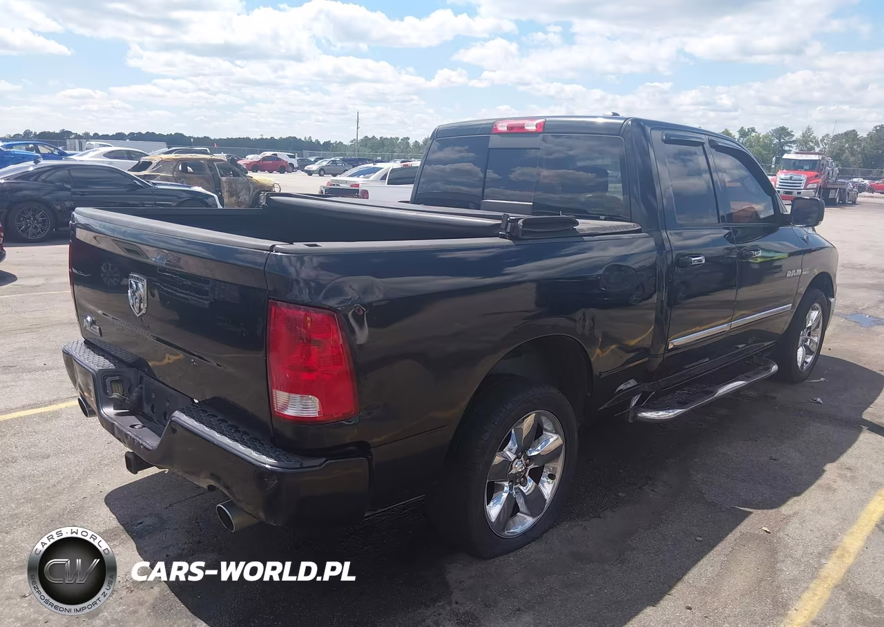 2010 Dodge Ram 1500 Slt-Sport-Trx VIN:1D7RB1GT9AS237654 - 4