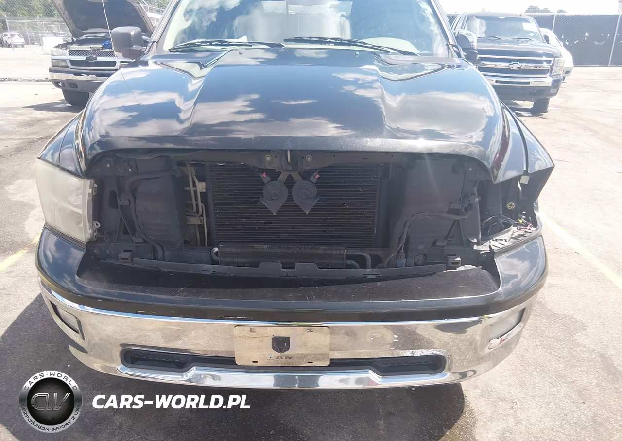2010 Dodge Ram 1500 Slt-Sport-Trx VIN:1D7RB1GT9AS237654 - 6