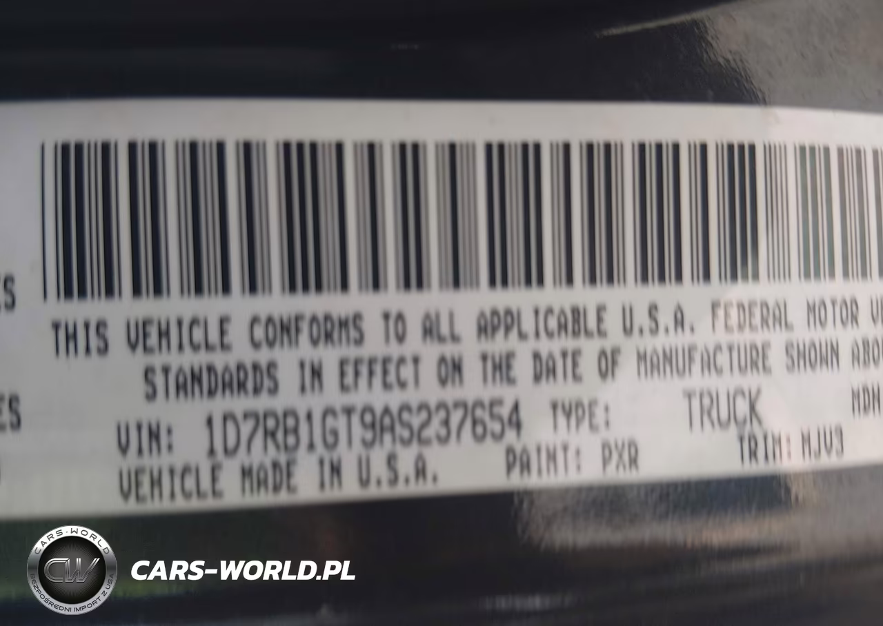 2010 Dodge Ram 1500 Slt-Sport-Trx VIN:1D7RB1GT9AS237654 - 9