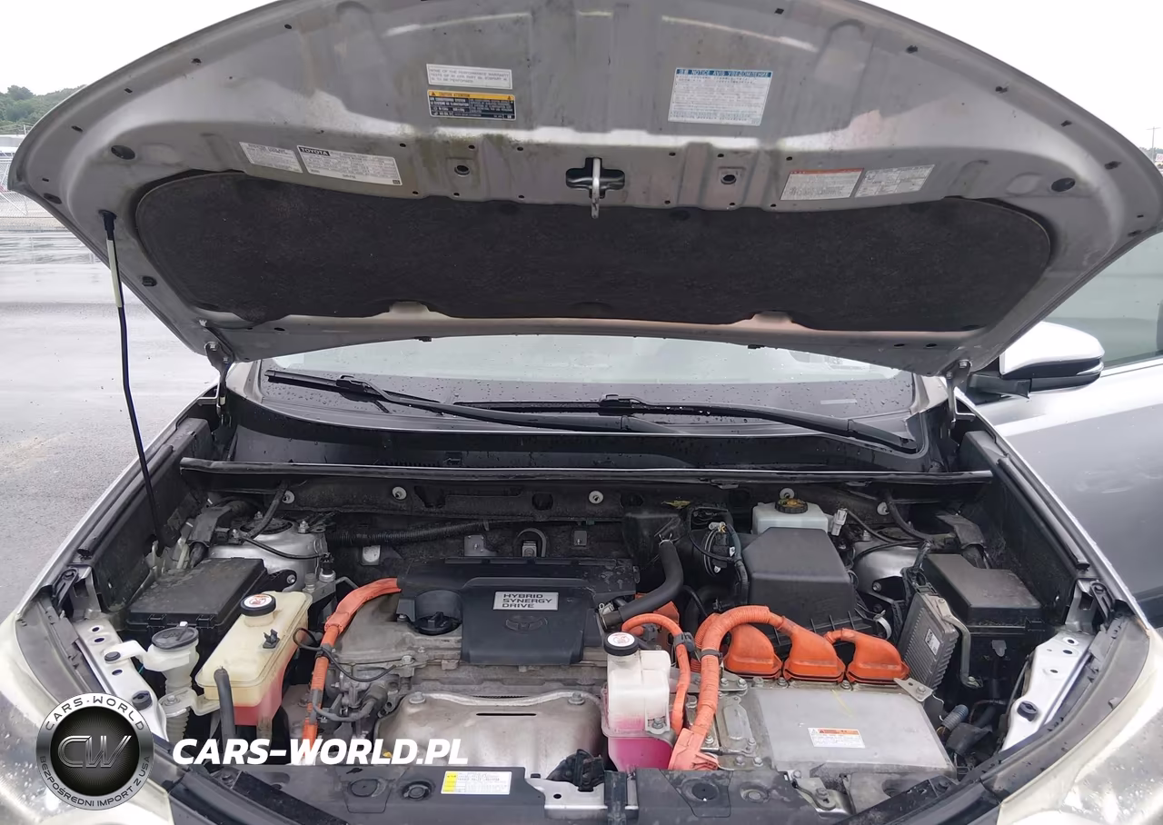 2016 Toyota Rav4 Hybrid Xle VIN:JTMRJREV4GD048746 - 10