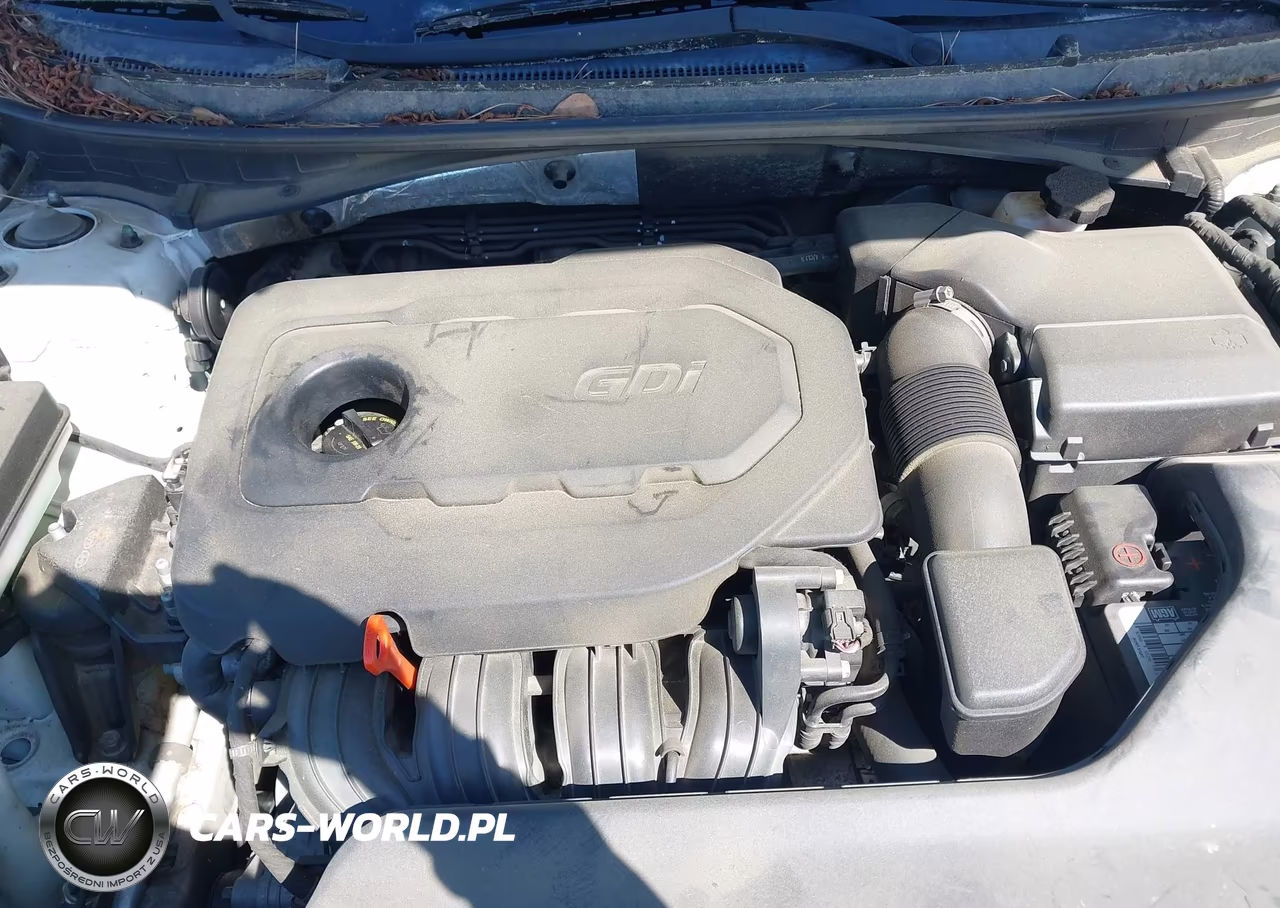2015 Hyundai Sonata Sport VIN:5NPE34AF8FH061518 - 10