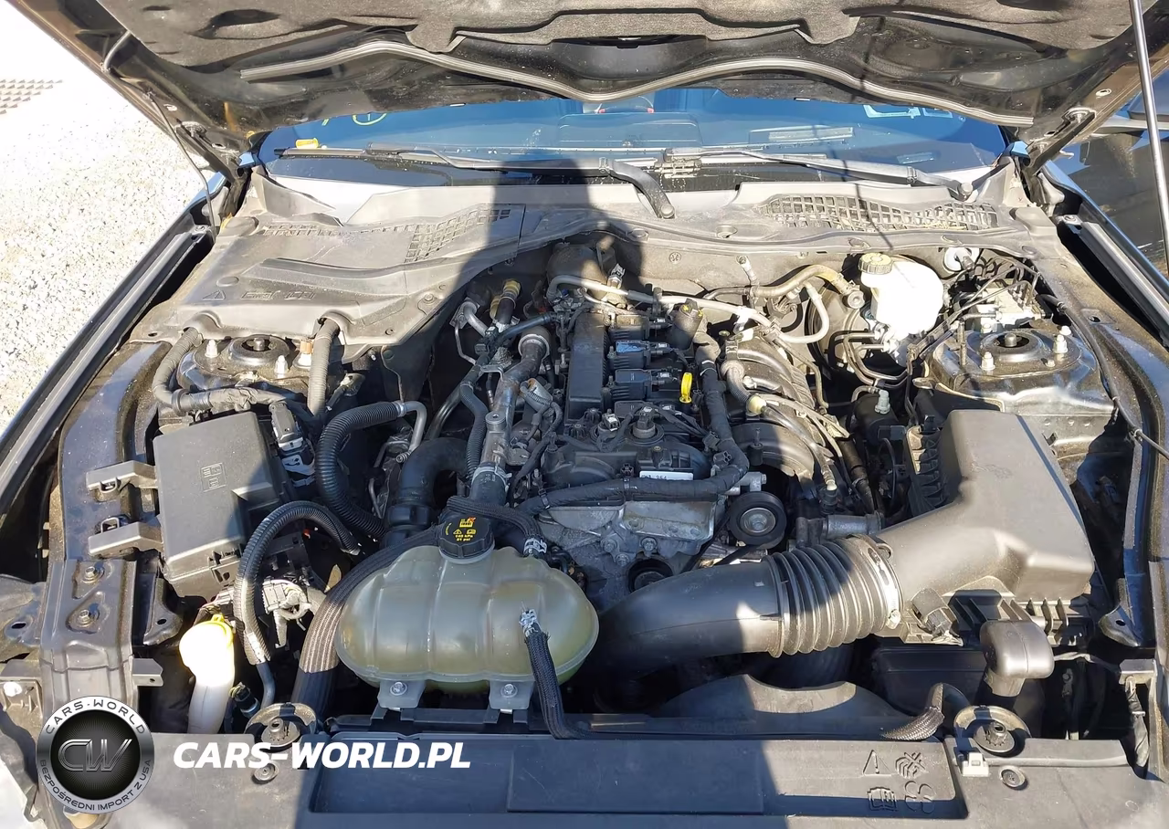 2019 Ford Mustang Ecoboost Premium VIN:1FA6P8TH3K5173237 - 10