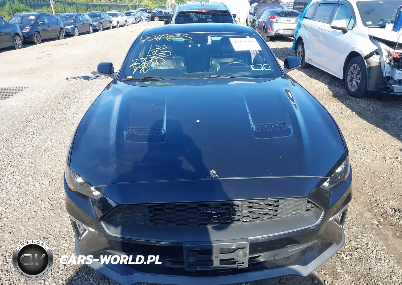 2019 Ford Mustang Ecoboost Premium VIN:1FA6P8TH3K5173237 - 12
