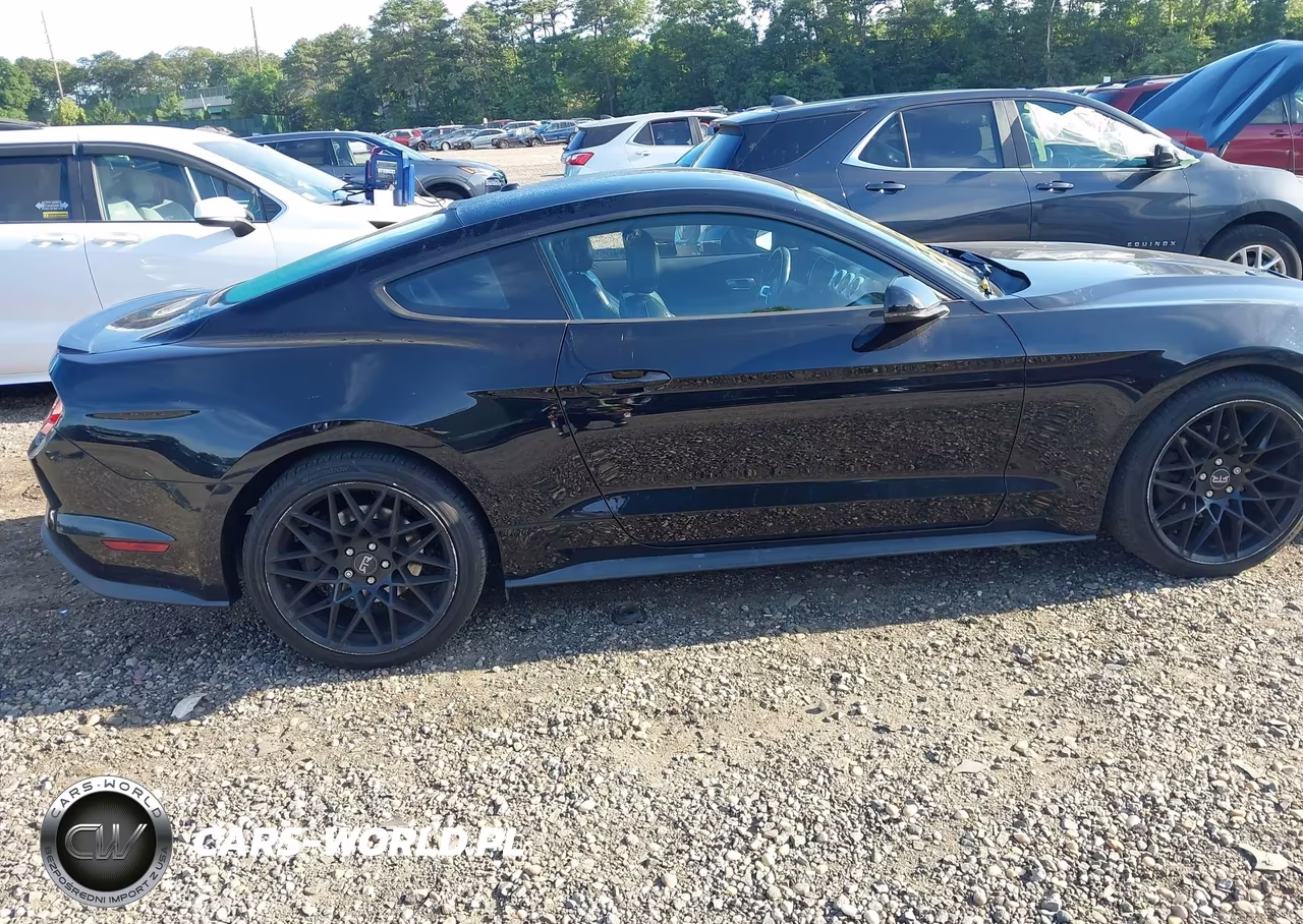 2019 Ford Mustang Ecoboost Premium VIN:1FA6P8TH3K5173237 - 13