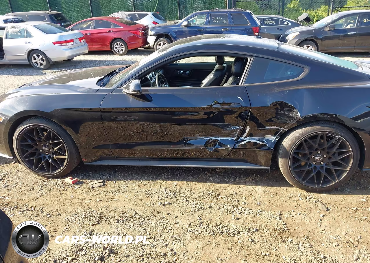 2019 Ford Mustang Ecoboost Premium VIN:1FA6P8TH3K5173237 - 14