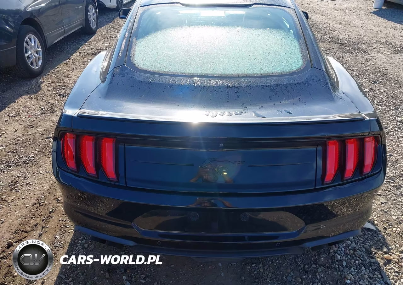 2019 Ford Mustang Ecoboost Premium VIN:1FA6P8TH3K5173237 - 16