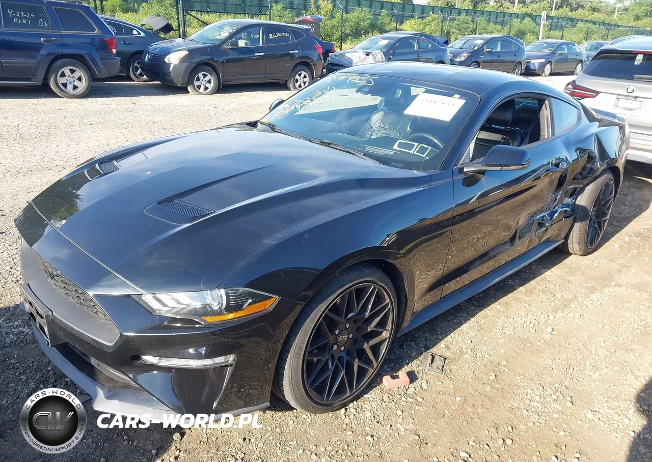 2019 Ford Mustang Ecoboost Premium VIN:1FA6P8TH3K5173237 - 2