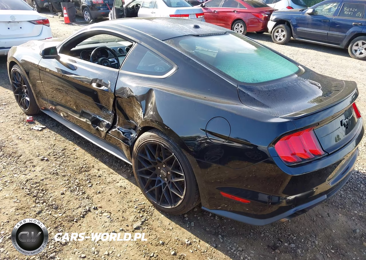 2019 Ford Mustang Ecoboost Premium VIN:1FA6P8TH3K5173237 - 3