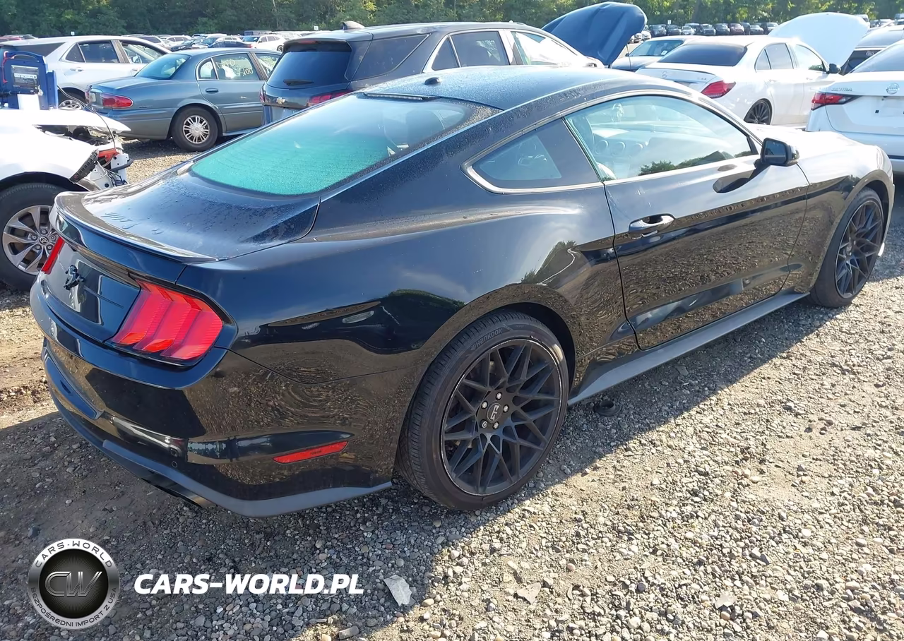 2019 Ford Mustang Ecoboost Premium VIN:1FA6P8TH3K5173237 - 4