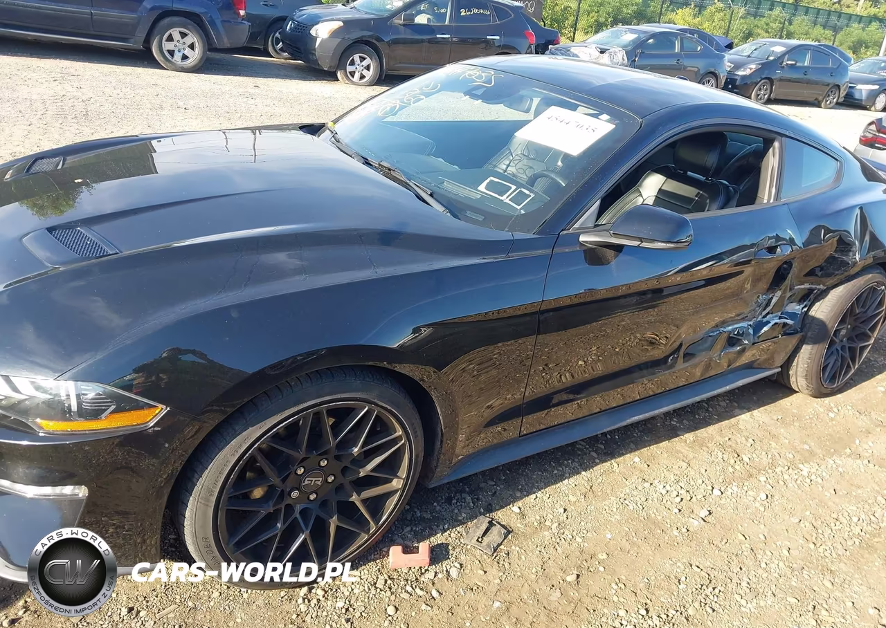 2019 Ford Mustang Ecoboost Premium VIN:1FA6P8TH3K5173237 - 6