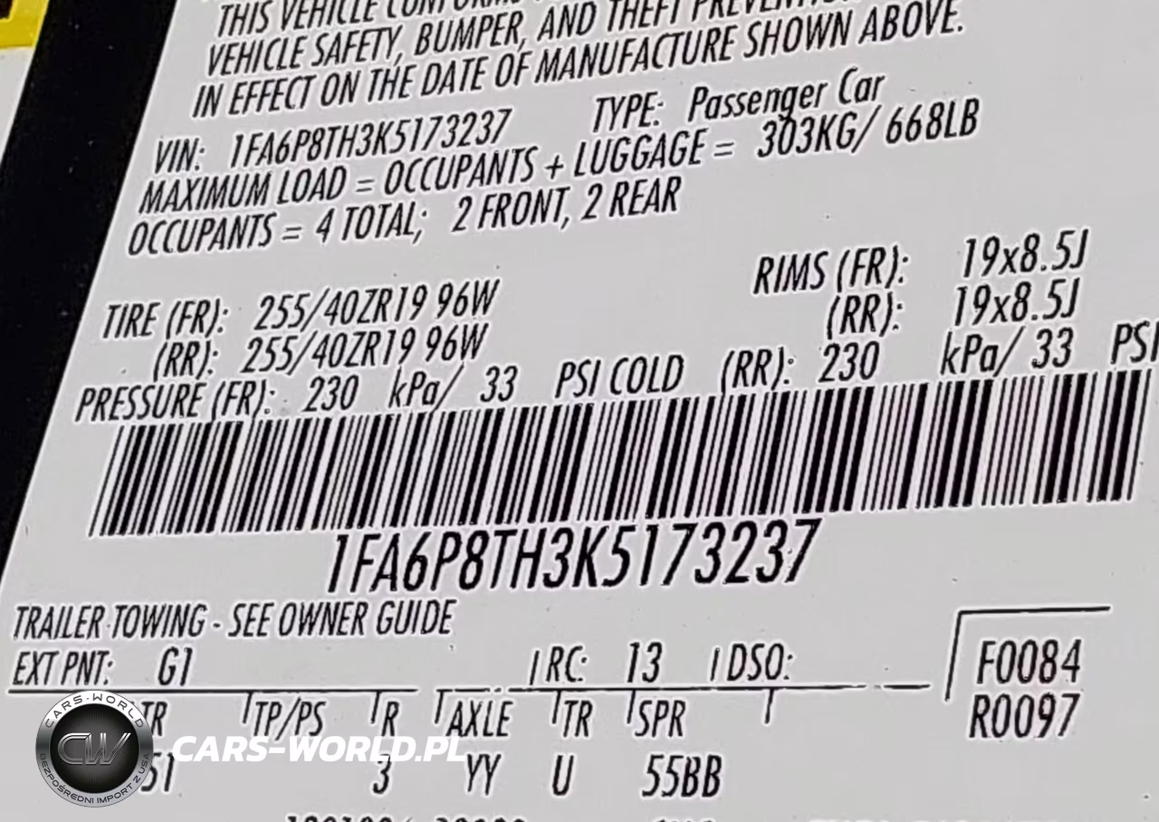 2019 Ford Mustang Ecoboost Premium VIN:1FA6P8TH3K5173237 - 9