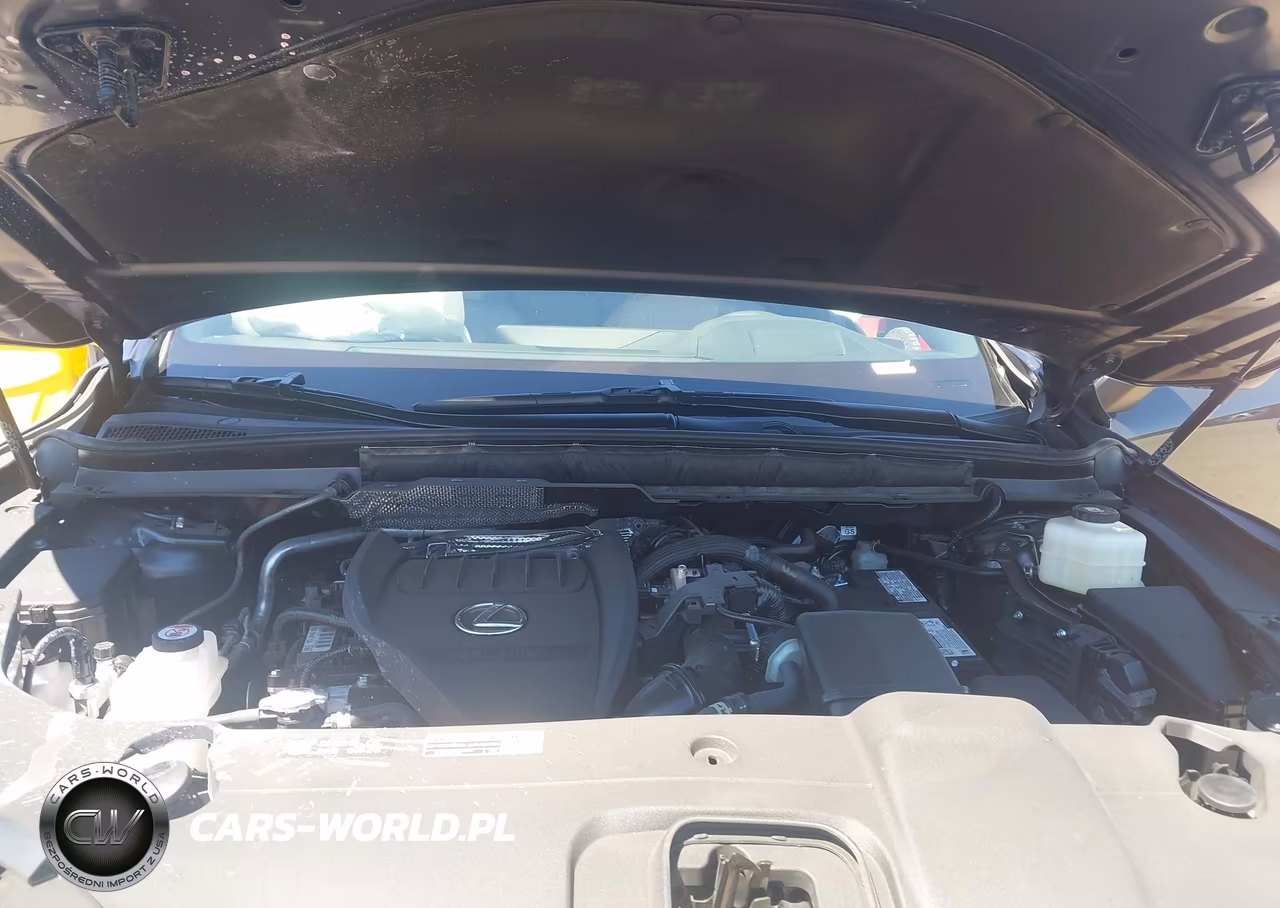 2026 Lexus Rx 350 Premium+ VIN:2T2BAMCA5TC128063 - 10