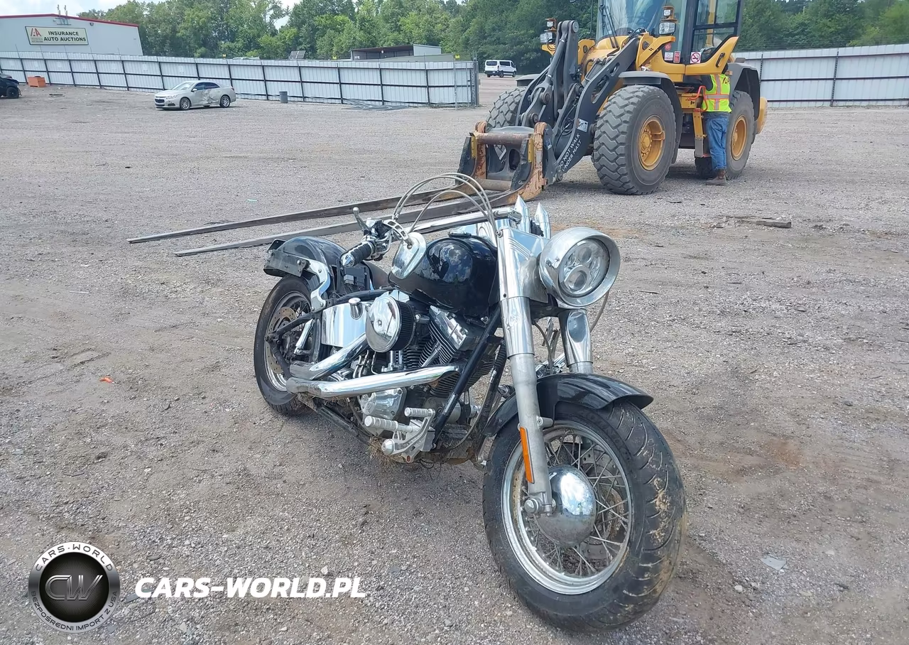 2000 Harley-Davidson Flstc