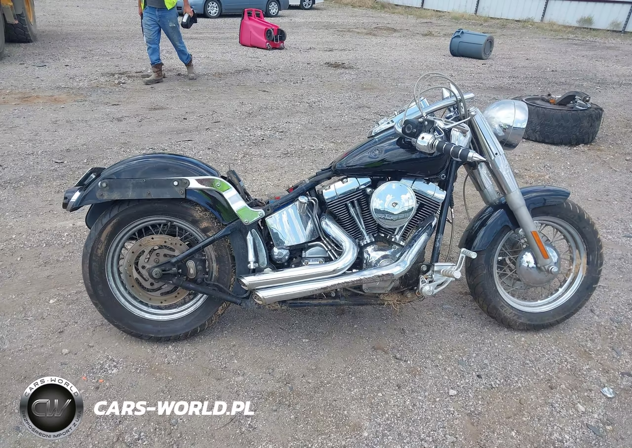 2000 Harley-Davidson Flstc VIN:1HD1BJY10YY076668 - 11