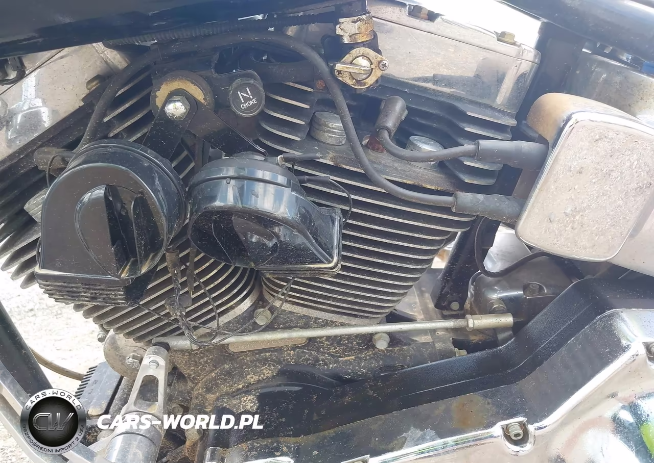 2000 Harley-Davidson Flstc VIN:1HD1BJY10YY076668 - 9