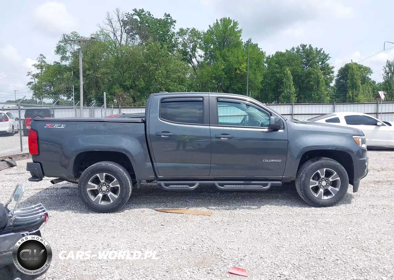 2016 Chevrolet Colorado 4Wd Z71 VIN:1GCGTDE39G1104622 - 13