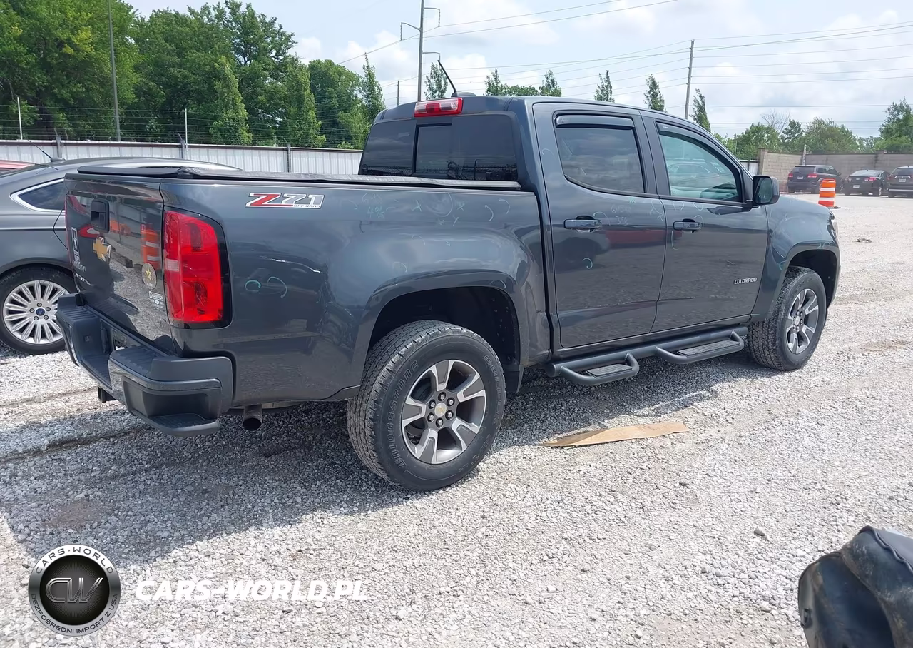 2016 Chevrolet Colorado 4Wd Z71 VIN:1GCGTDE39G1104622 - 4