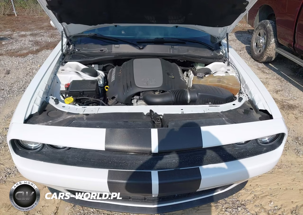 2020 Dodge Challenger R-T VIN:2C3CDZBT7LH124638 - 10