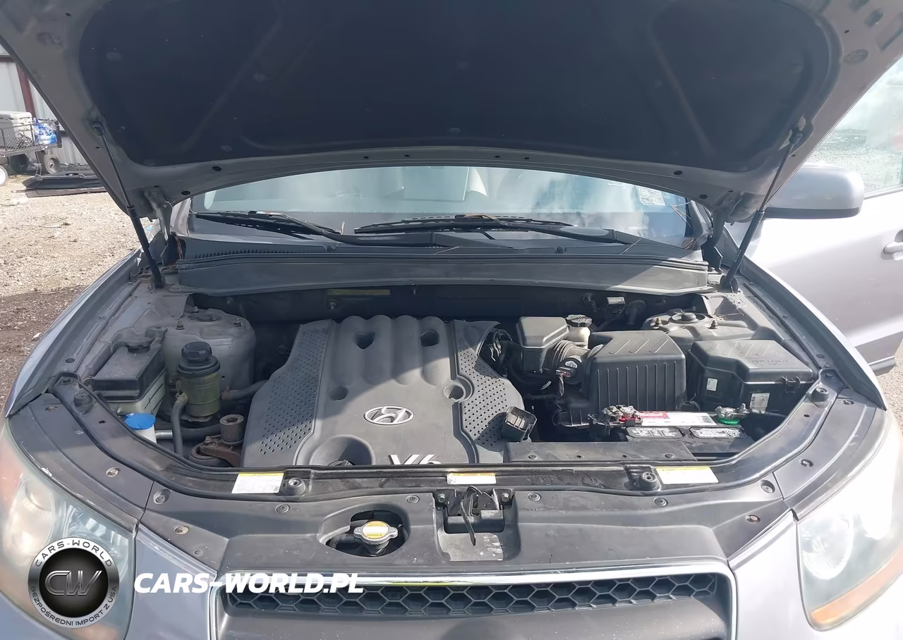 2007 Hyundai Santa Fe Gls VIN:5NMSG73D97H085278 - 10
