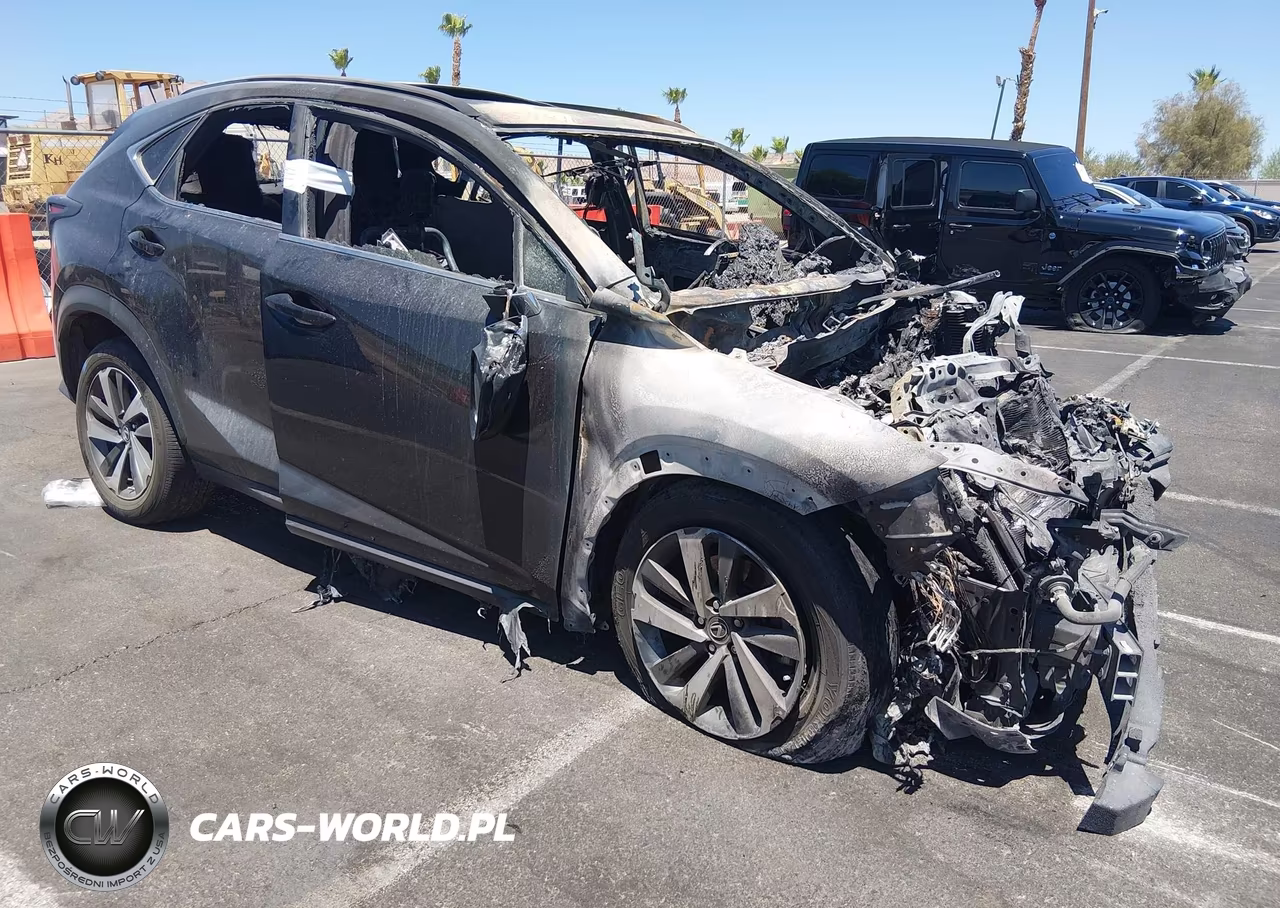 2019 Lexus Nx 300 VIN:JTJYARBZ3K2131802 - 1
