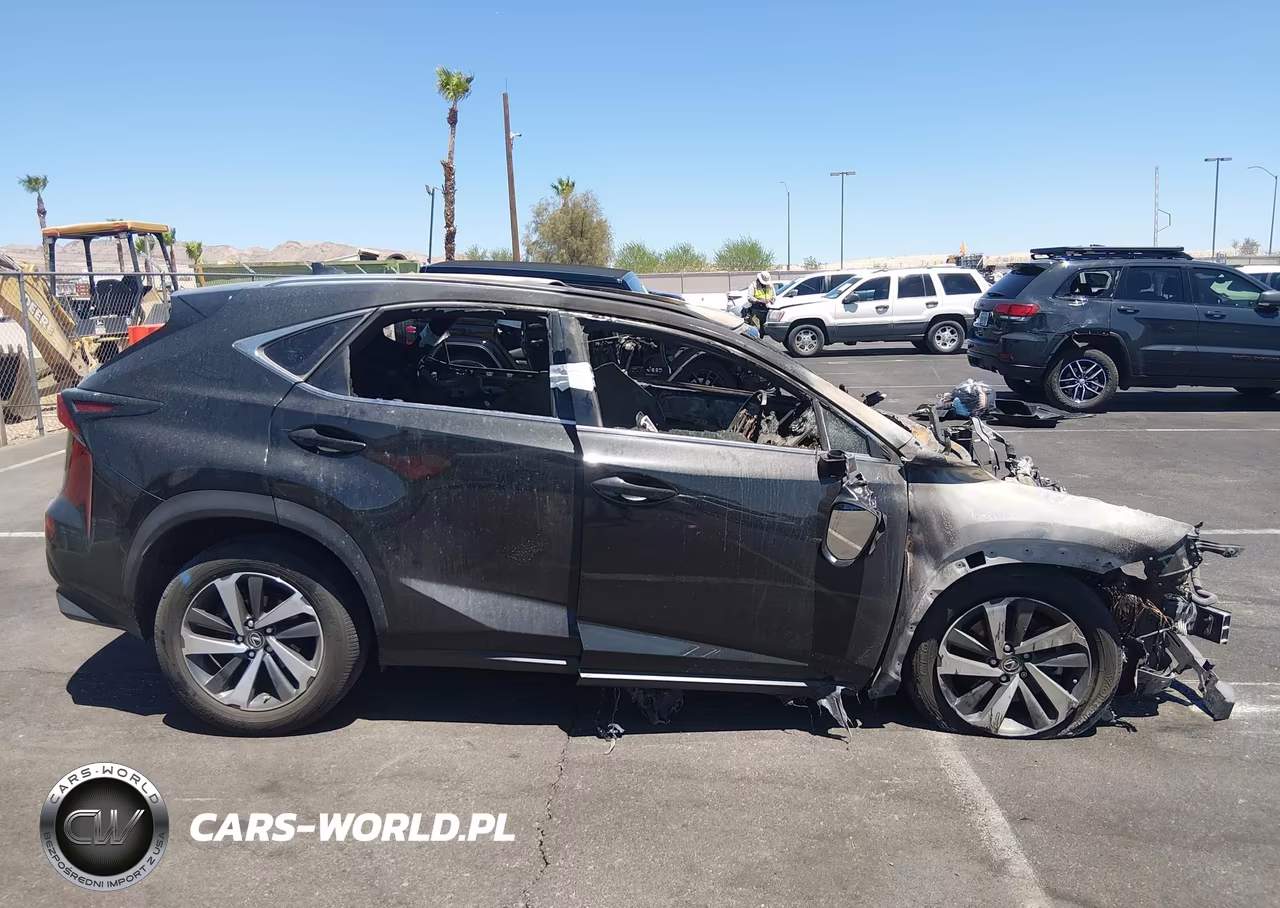 2019 Lexus Nx 300 VIN:JTJYARBZ3K2131802 - 12