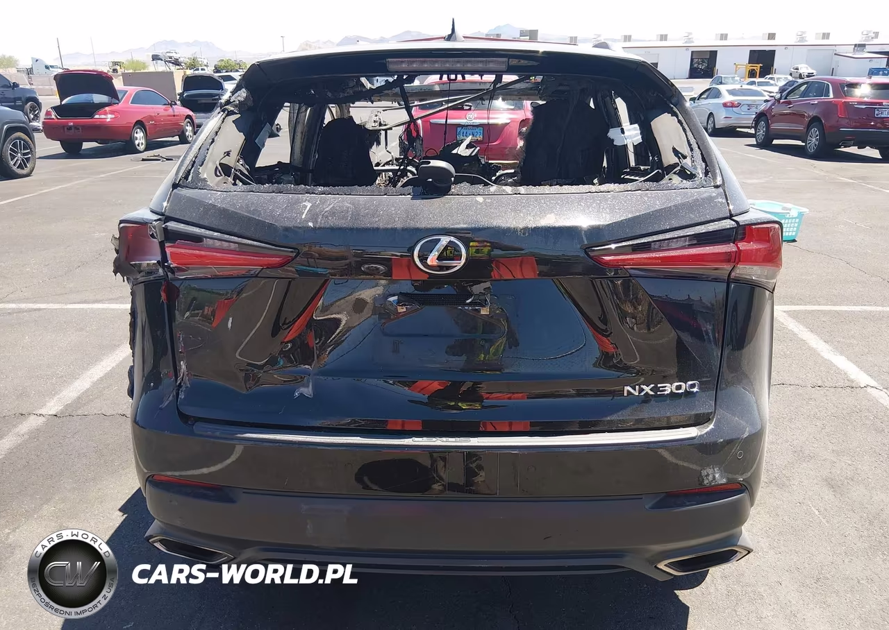 2019 Lexus Nx 300 VIN:JTJYARBZ3K2131802 - 15