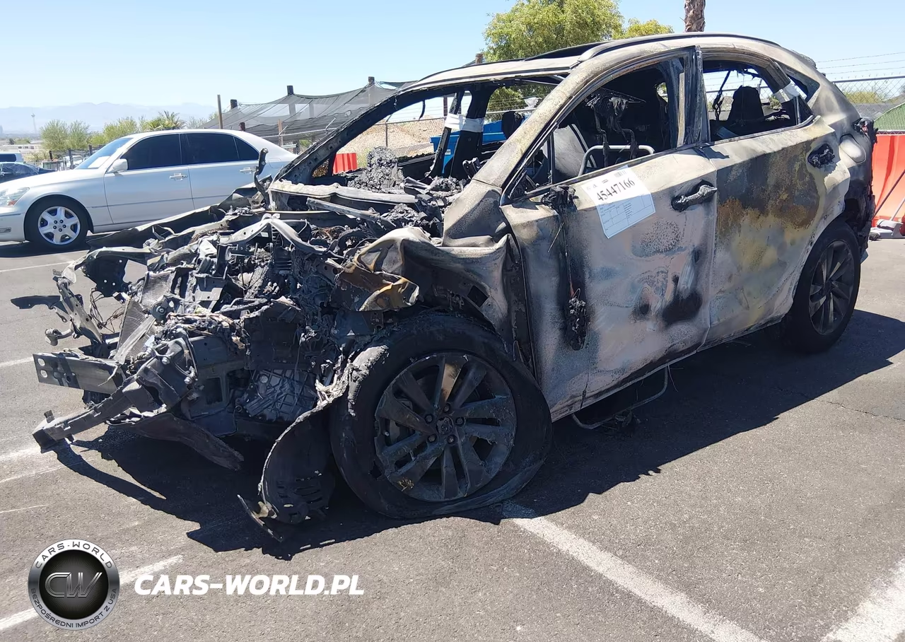 2019 Lexus Nx 300 VIN:JTJYARBZ3K2131802 - 2