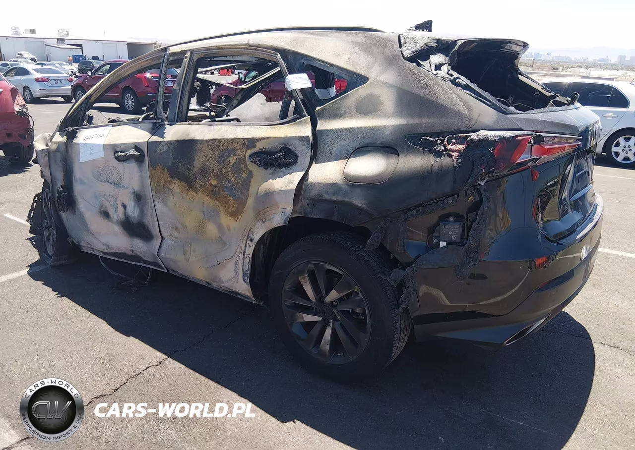 2019 Lexus Nx 300 VIN:JTJYARBZ3K2131802 - 3