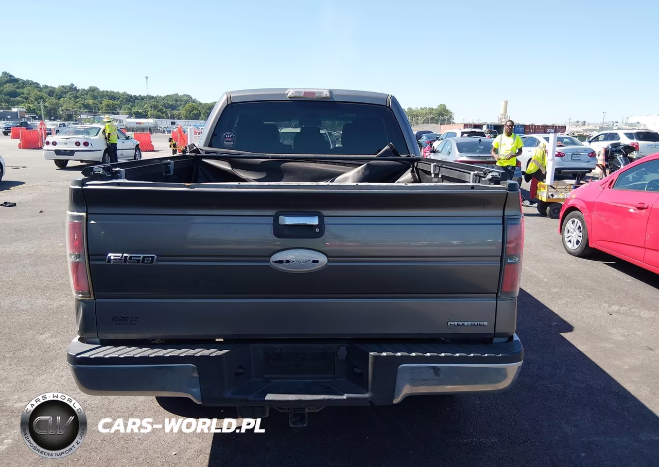 2012 Ford F-150 Fx4-Lariat-Stx-Xl-Xlt VIN:1FTFX1EF2CFB07125 - 17