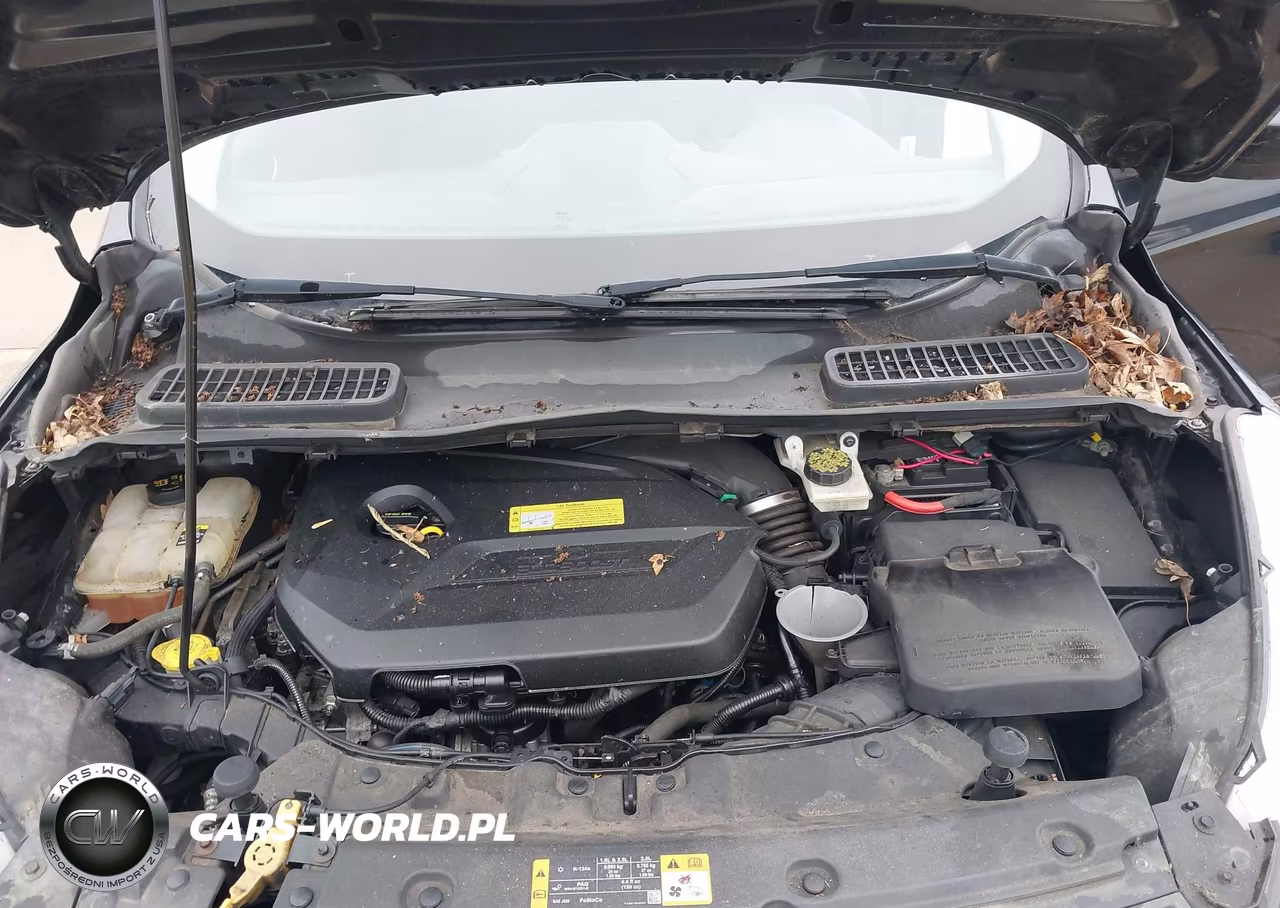 2013 Ford Escape Se VIN:1FMCU0GX0DUB69904 - 10