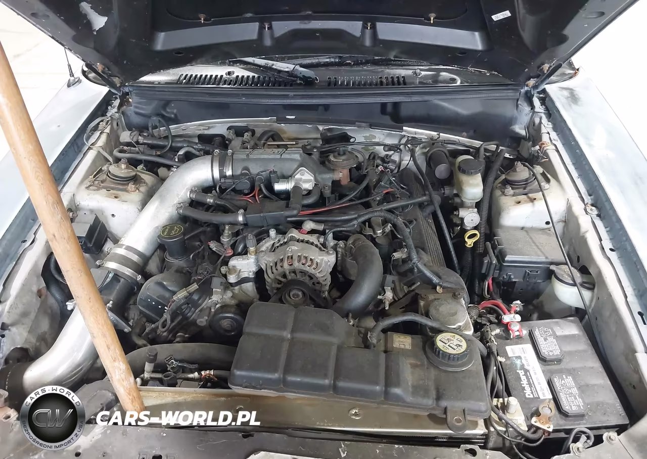 2003 Ford Mustang Gt VIN:1FAFP42X33F325854 - 10