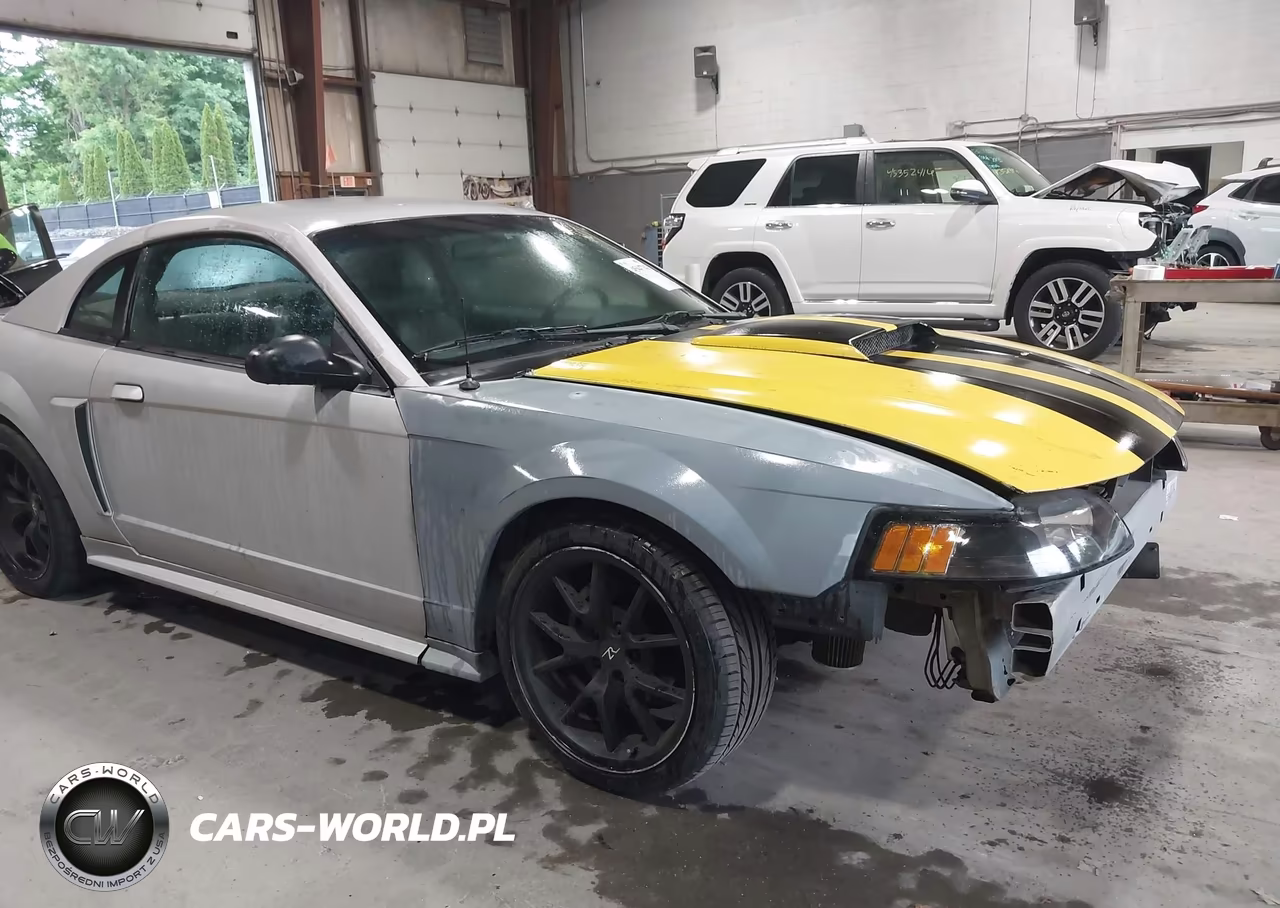 2003 Ford Mustang Gt VIN:1FAFP42X33F325854 - 12