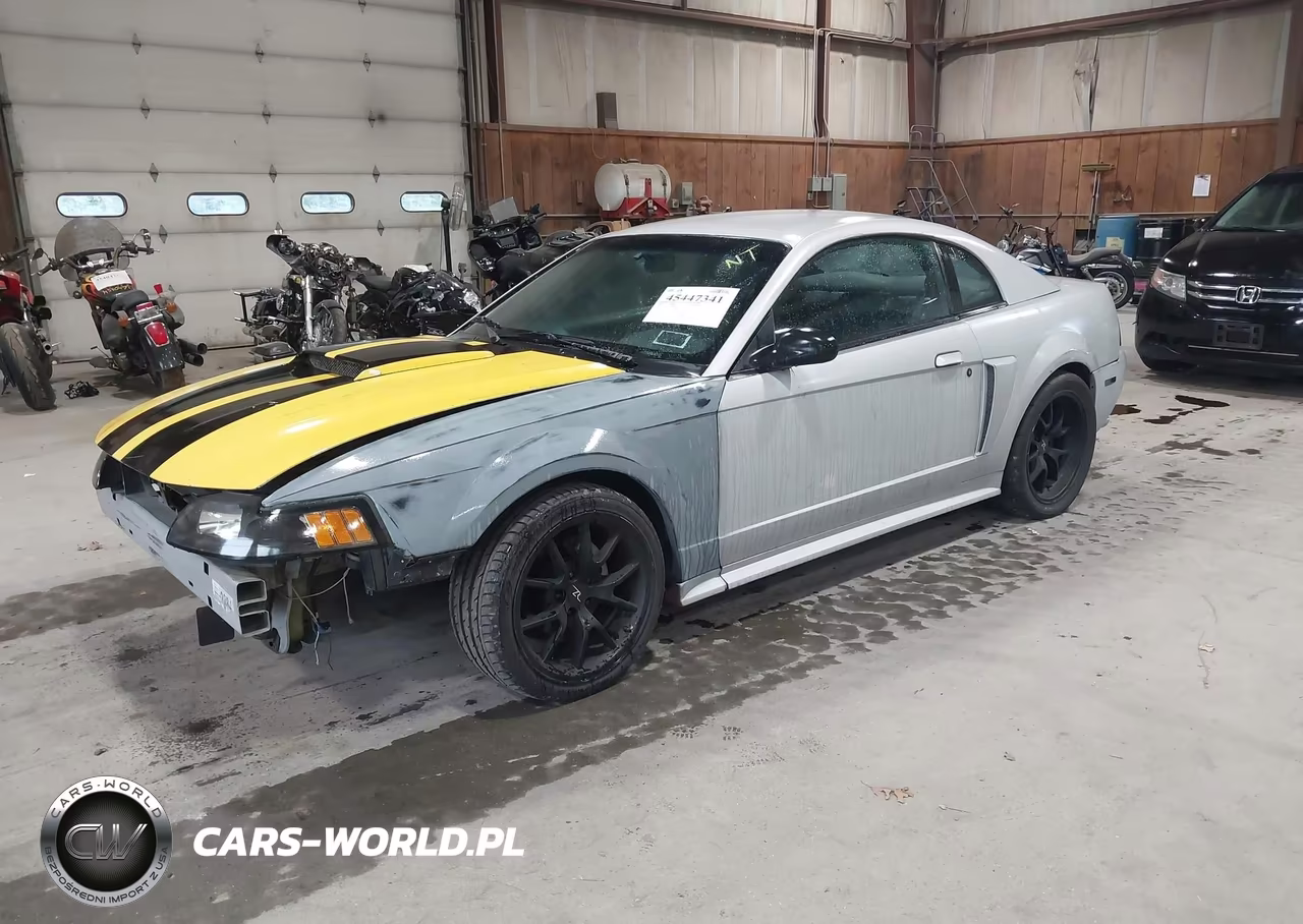 2003 Ford Mustang Gt VIN:1FAFP42X33F325854 - 2