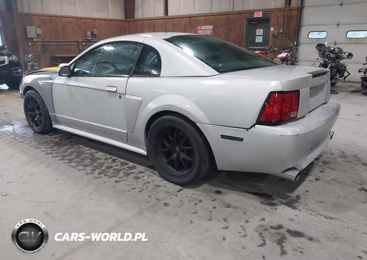 2003 Ford Mustang Gt VIN:1FAFP42X33F325854 - 3