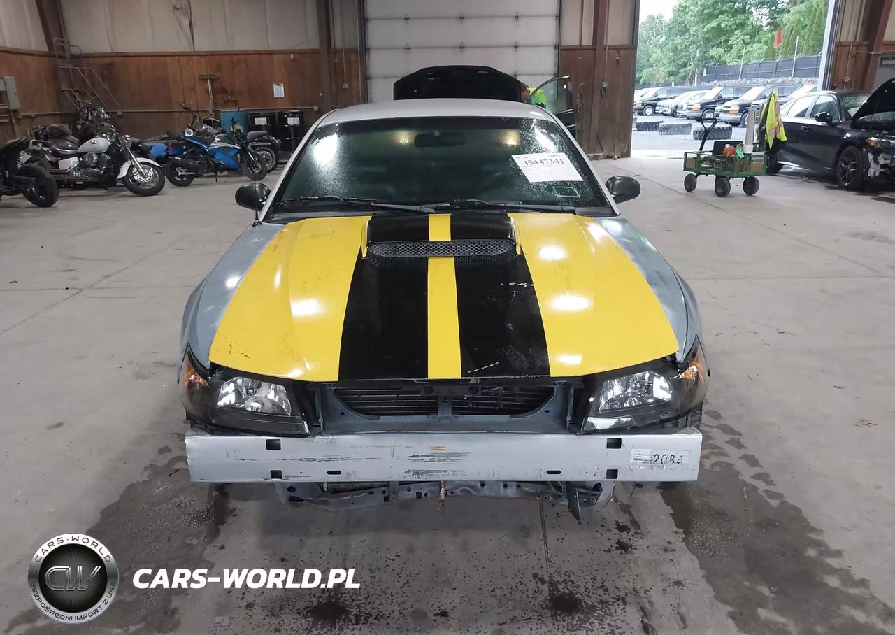 2003 Ford Mustang Gt VIN:1FAFP42X33F325854 - 6