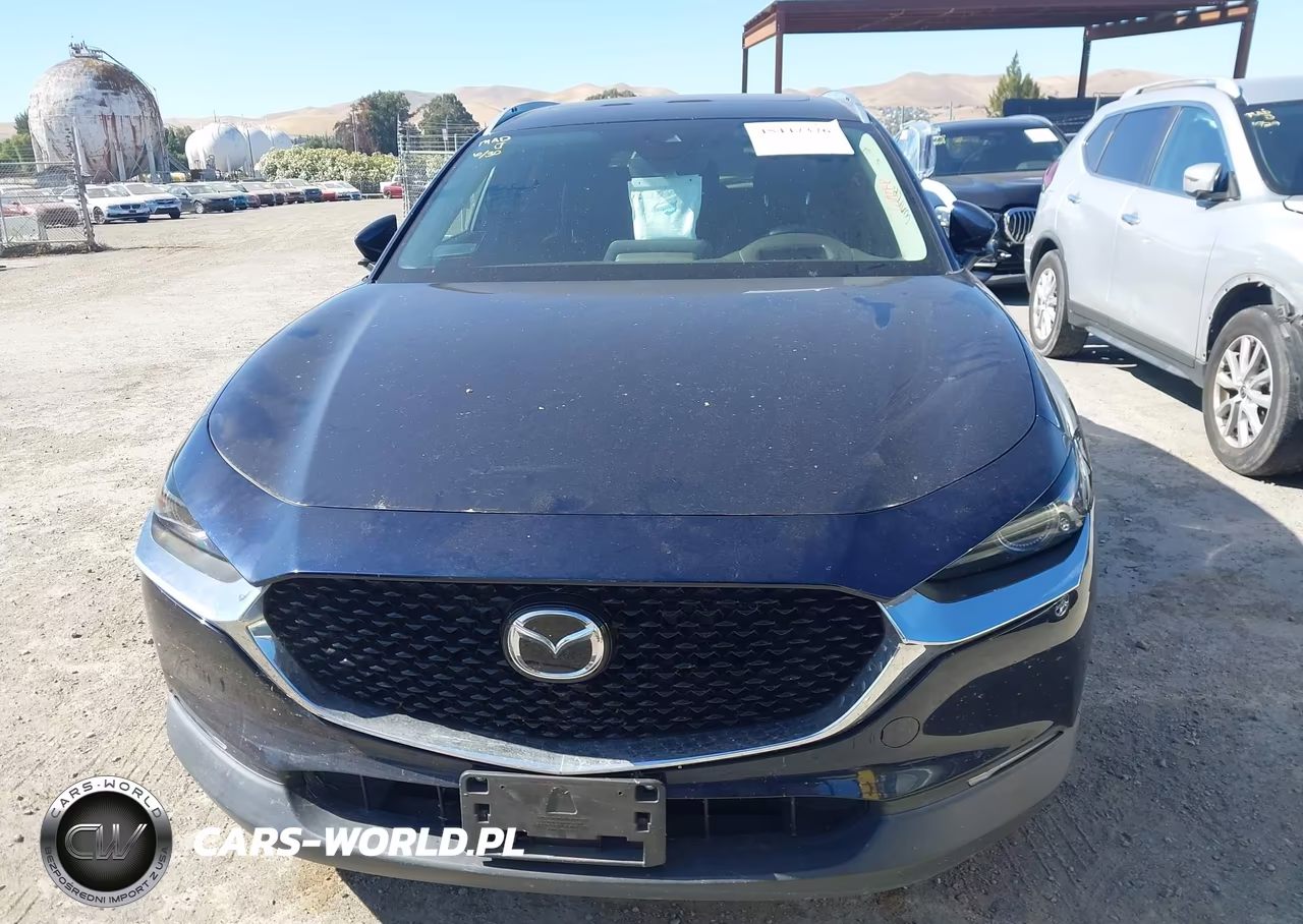 2020 Mazda Cx-30 Premium Package VIN:3MVDMBEM4LM124477 - 12