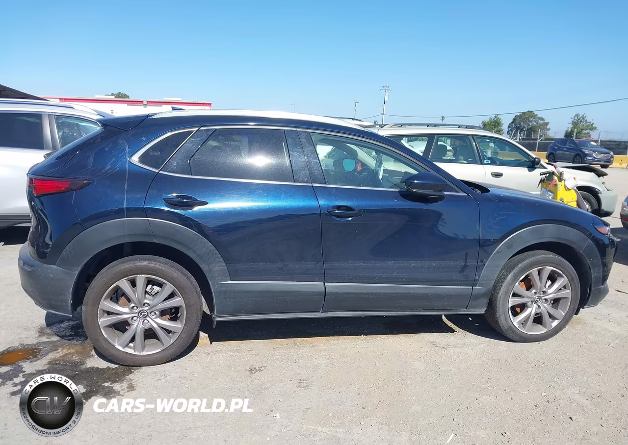 2020 Mazda Cx-30 Premium Package VIN:3MVDMBEM4LM124477 - 13