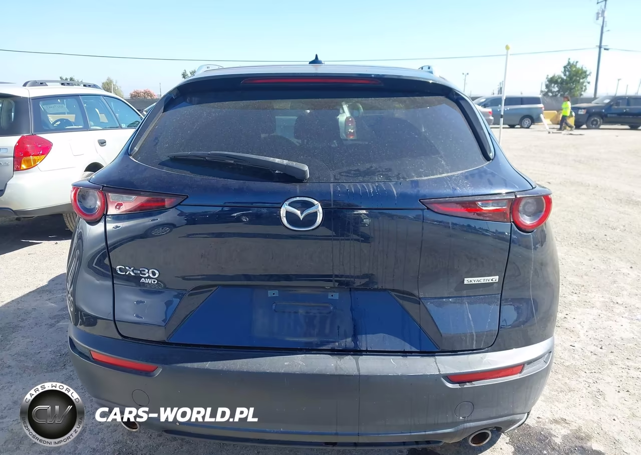 2020 Mazda Cx-30 Premium Package VIN:3MVDMBEM4LM124477 - 16