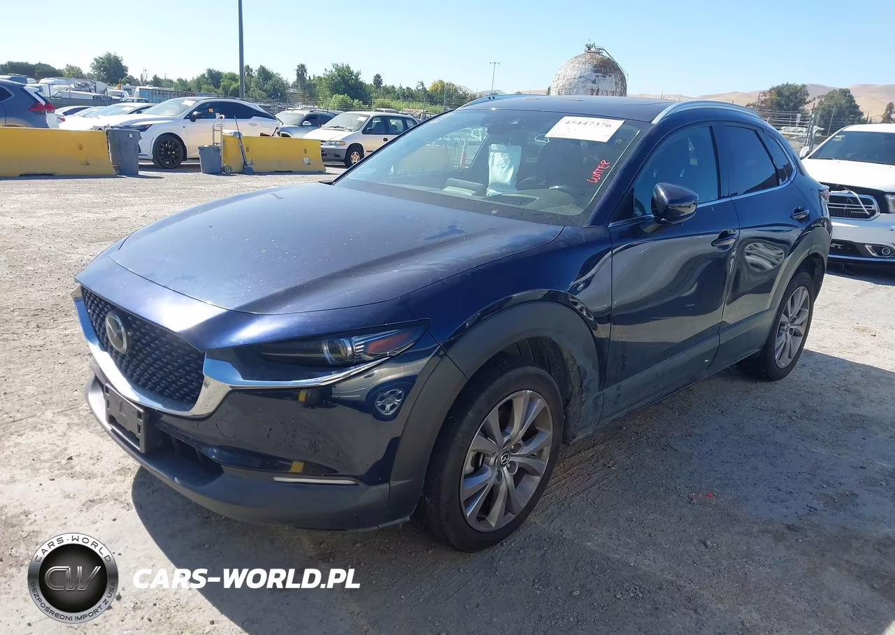 2020 Mazda Cx-30 Premium Package VIN:3MVDMBEM4LM124477 - 2