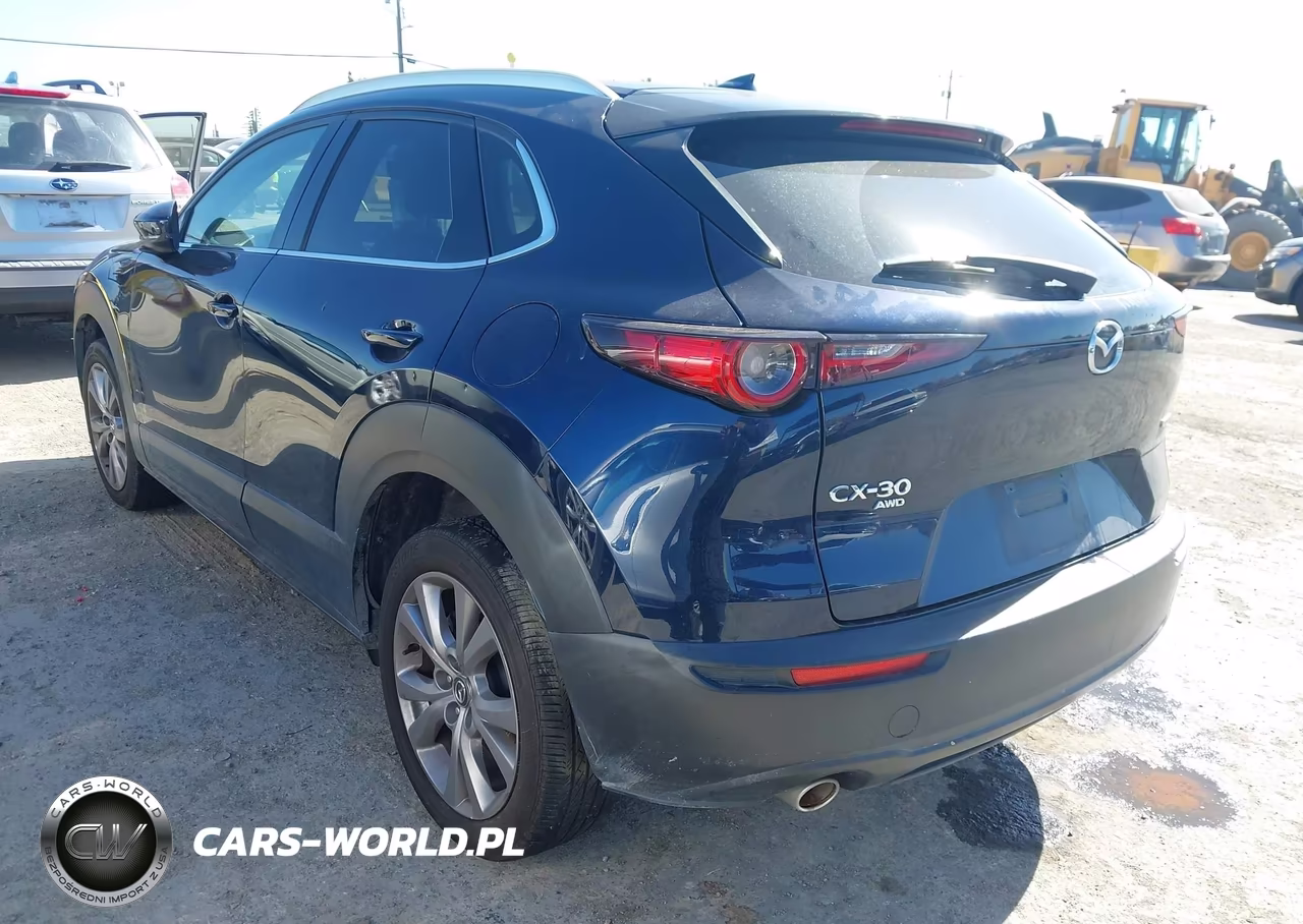 2020 Mazda Cx-30 Premium Package VIN:3MVDMBEM4LM124477 - 3