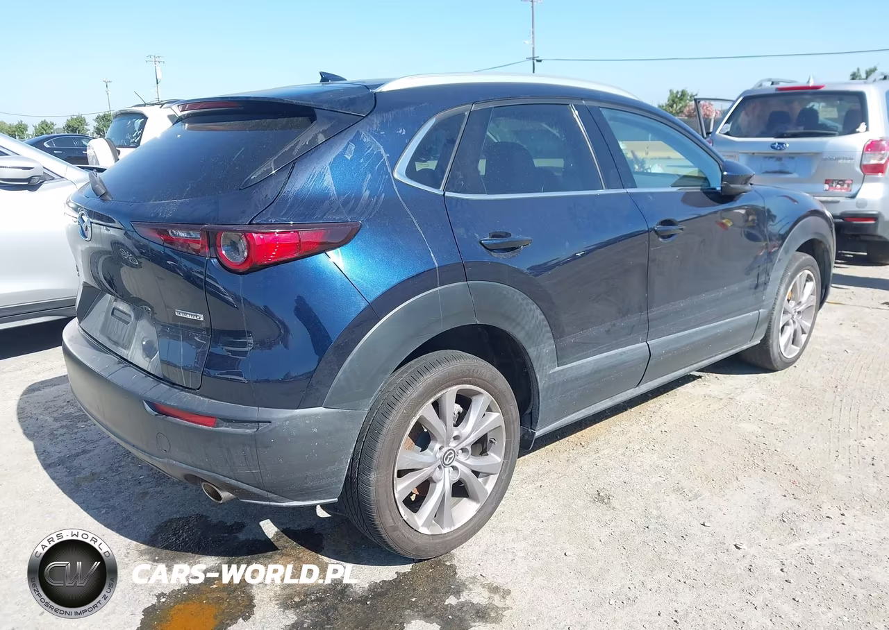 2020 Mazda Cx-30 Premium Package VIN:3MVDMBEM4LM124477 - 4