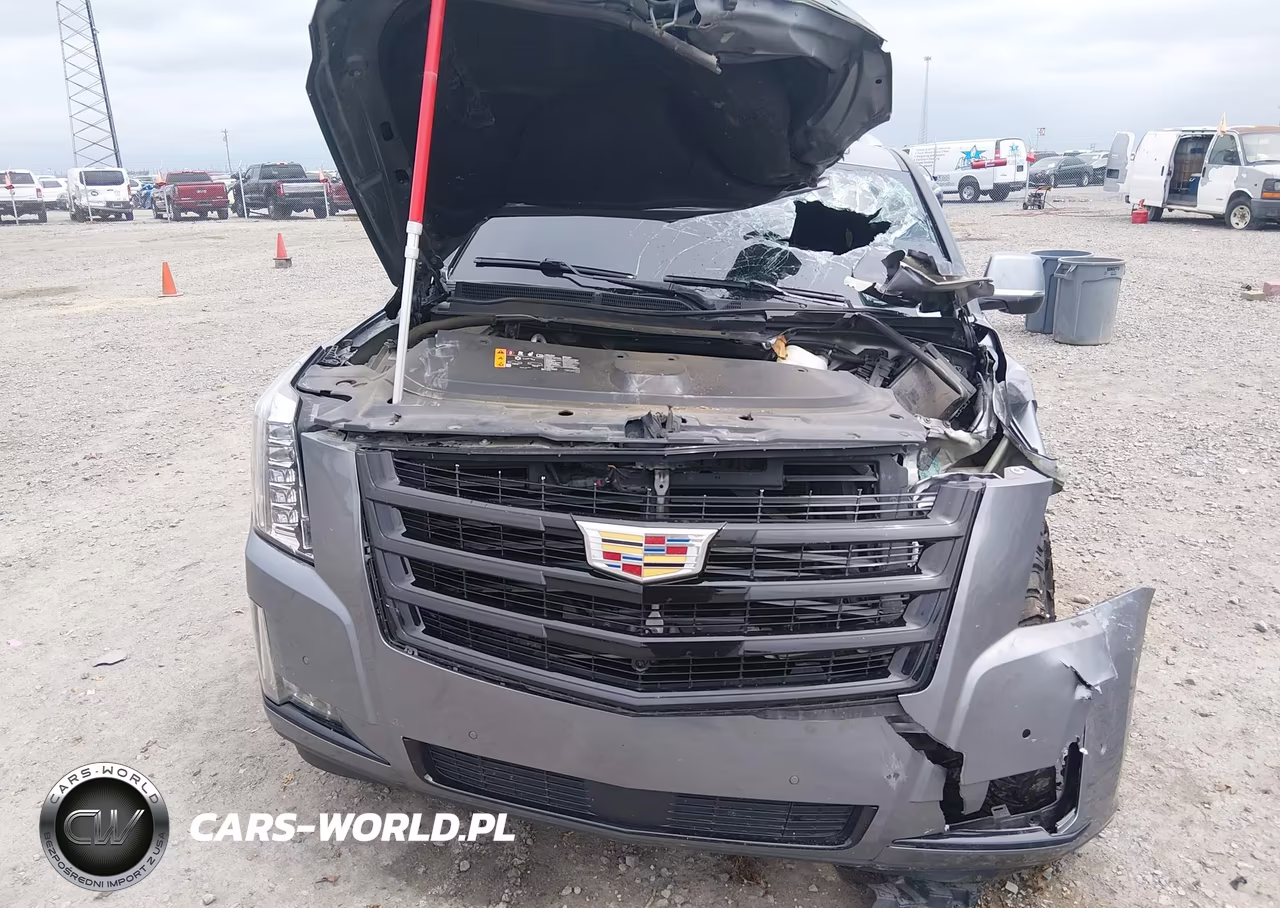 2020 Cadillac Escalade 4Wd Premium Luxury VIN:1GYS4CKJ6LR261972 - 10