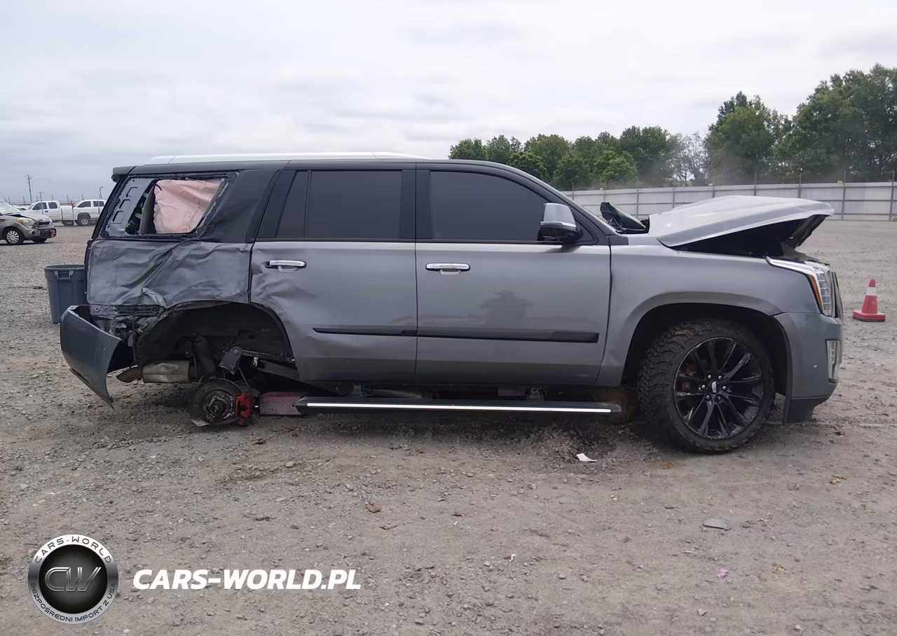 2020 Cadillac Escalade 4Wd Premium Luxury VIN:1GYS4CKJ6LR261972 - 13
