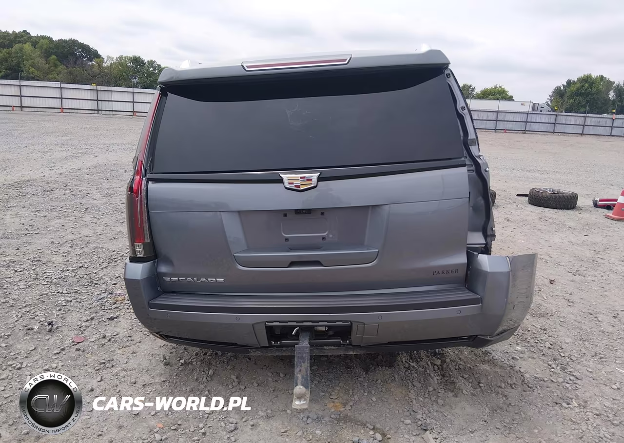 2020 Cadillac Escalade 4Wd Premium Luxury VIN:1GYS4CKJ6LR261972 - 16