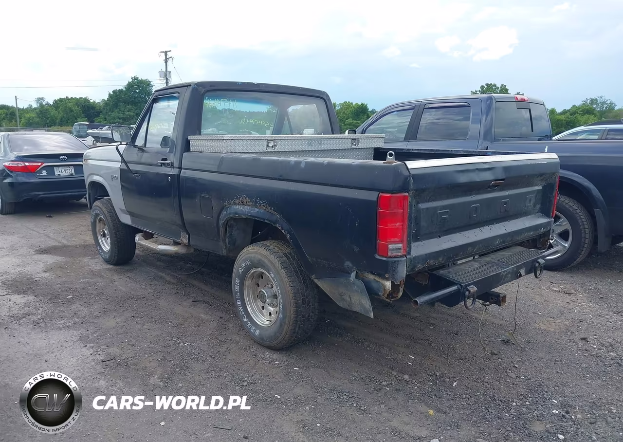 1984 Ford F150 VIN:1FTEF14Y9ENA18680 - 3