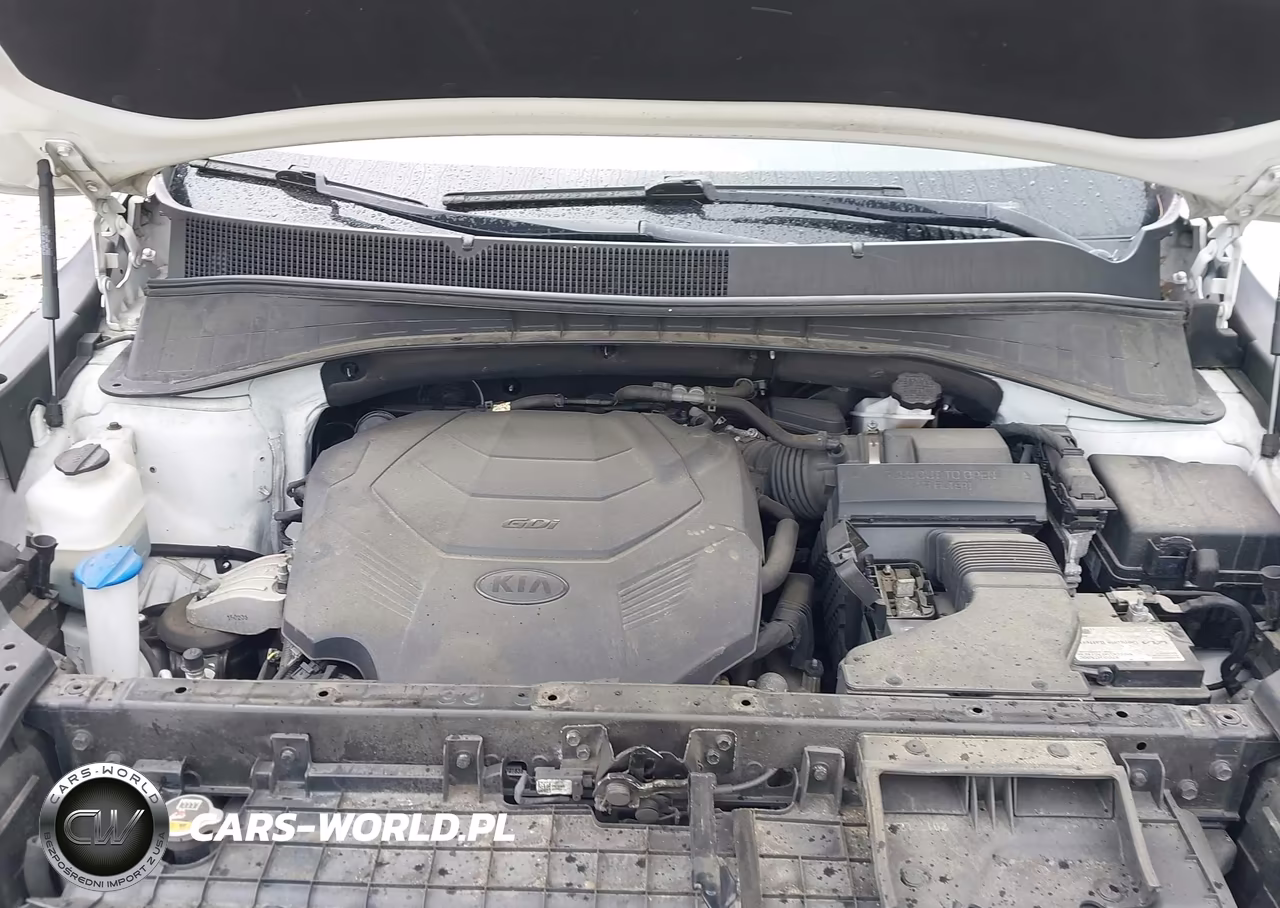 2019 Kia Sorento 3.3L Lx VIN:5XYPGDA5XKG457021 - 10