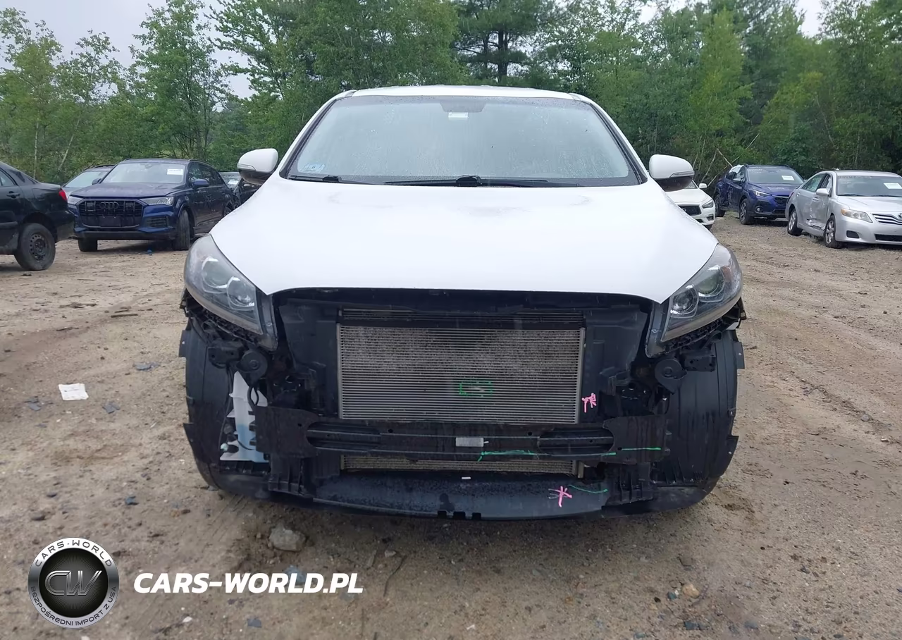 2019 Kia Sorento 3.3L Lx VIN:5XYPGDA5XKG457021 - 13