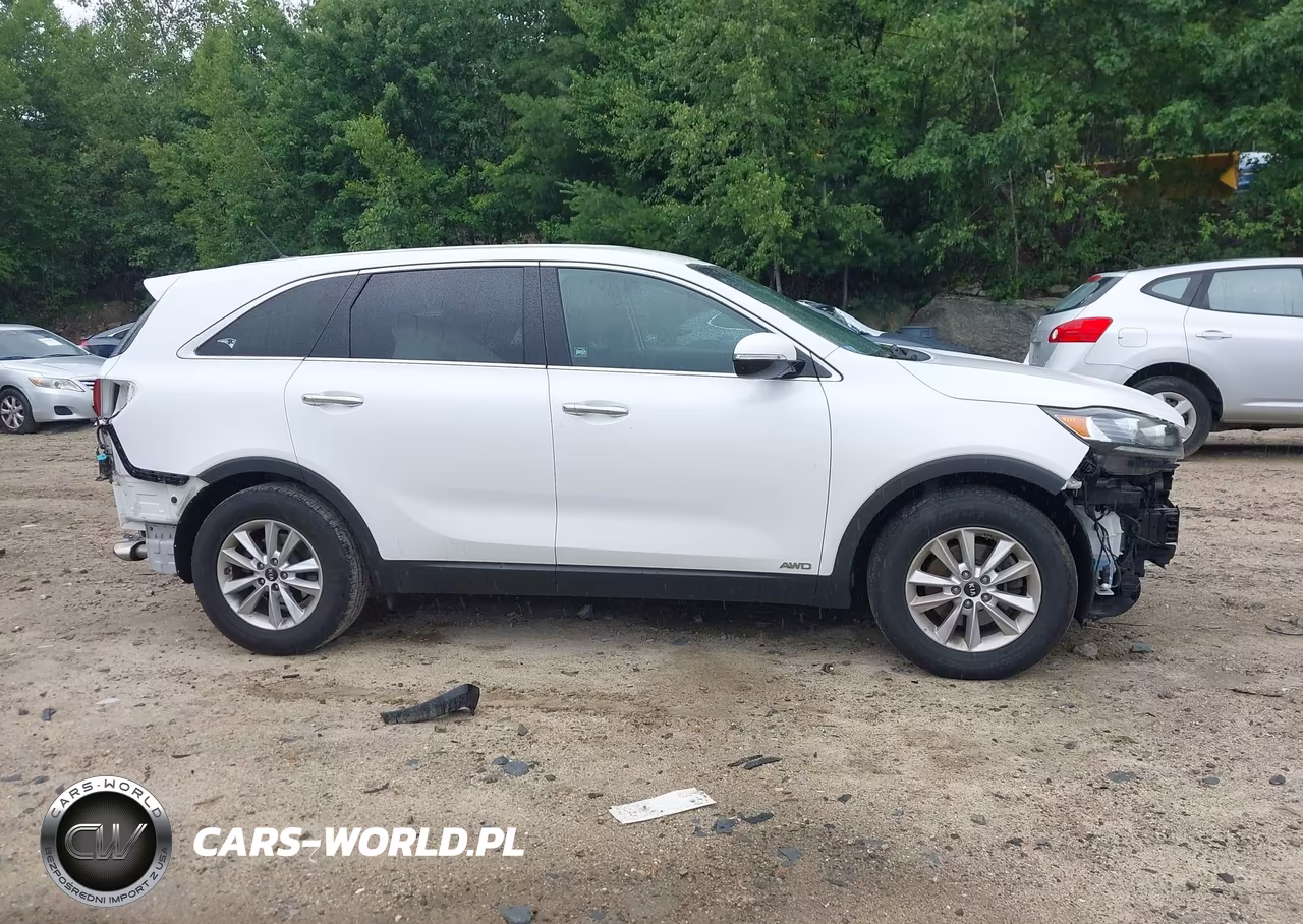 2019 Kia Sorento 3.3L Lx VIN:5XYPGDA5XKG457021 - 14