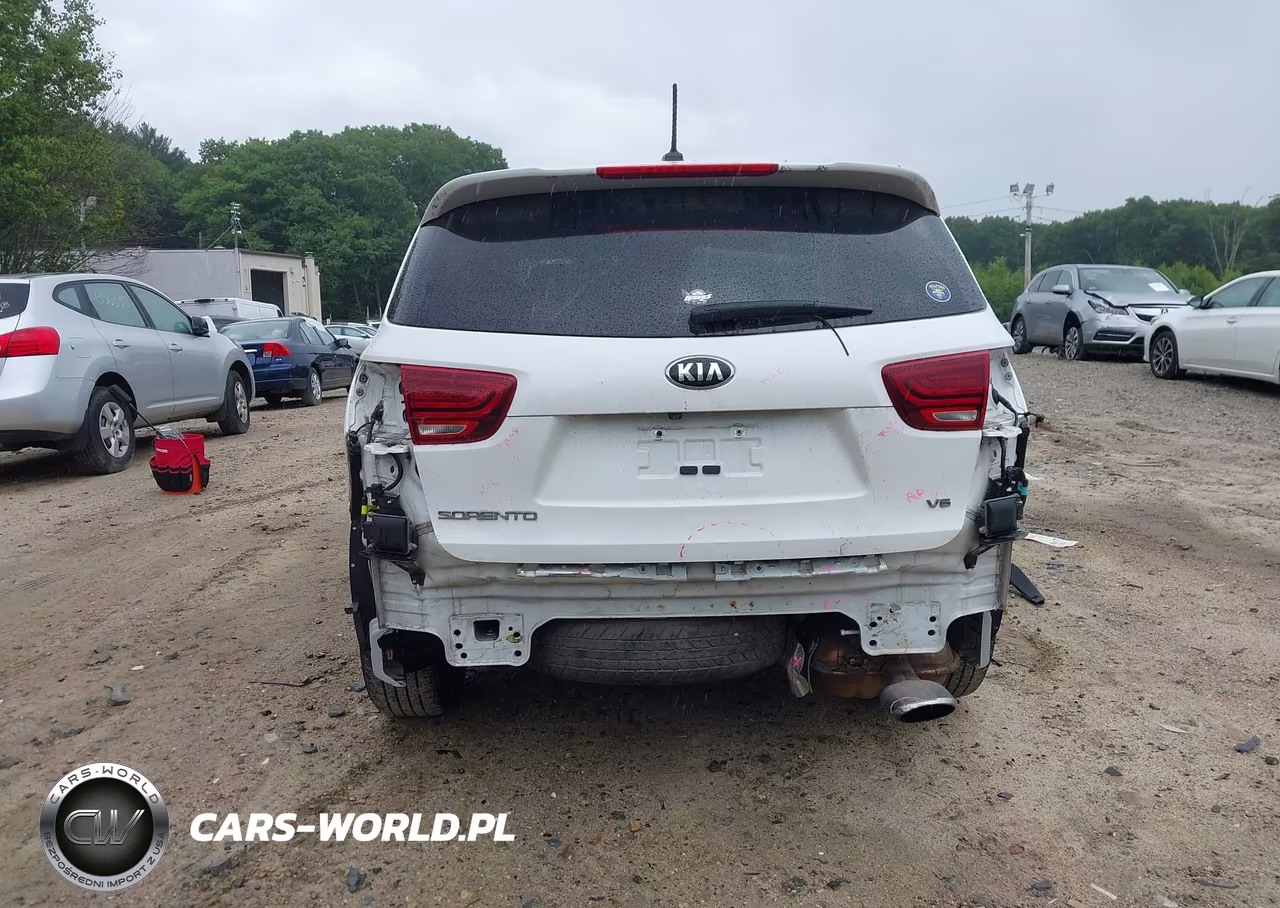 2019 Kia Sorento 3.3L Lx VIN:5XYPGDA5XKG457021 - 17