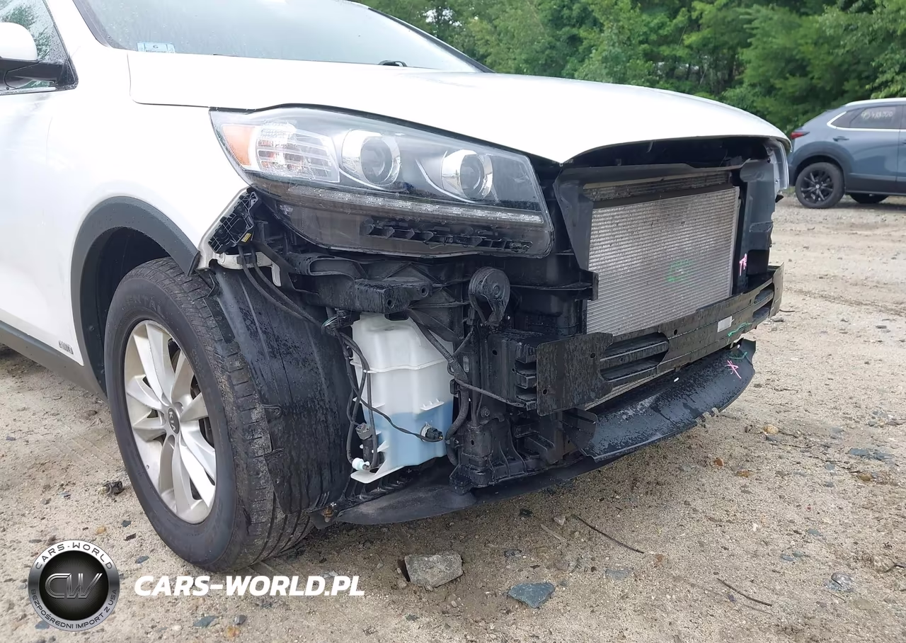 2019 Kia Sorento 3.3L Lx VIN:5XYPGDA5XKG457021 - 18